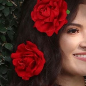 NWT - 2 Red Rose Hairclips